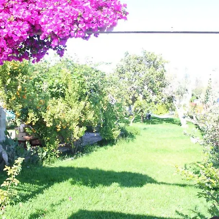 Villa Lisa Vila *
